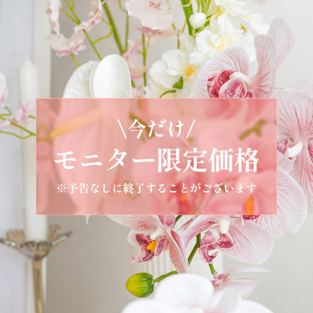 ウェルカムスペースレンタル Pale Pink 3