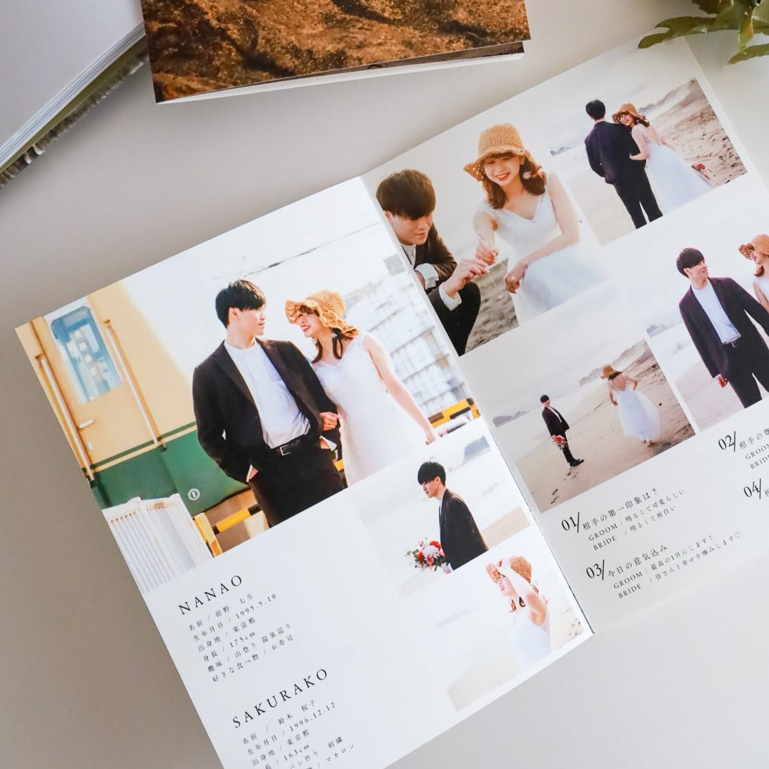 Profile book Template #North pole