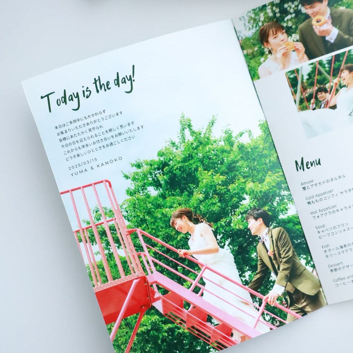 Profile book Template #Picnic