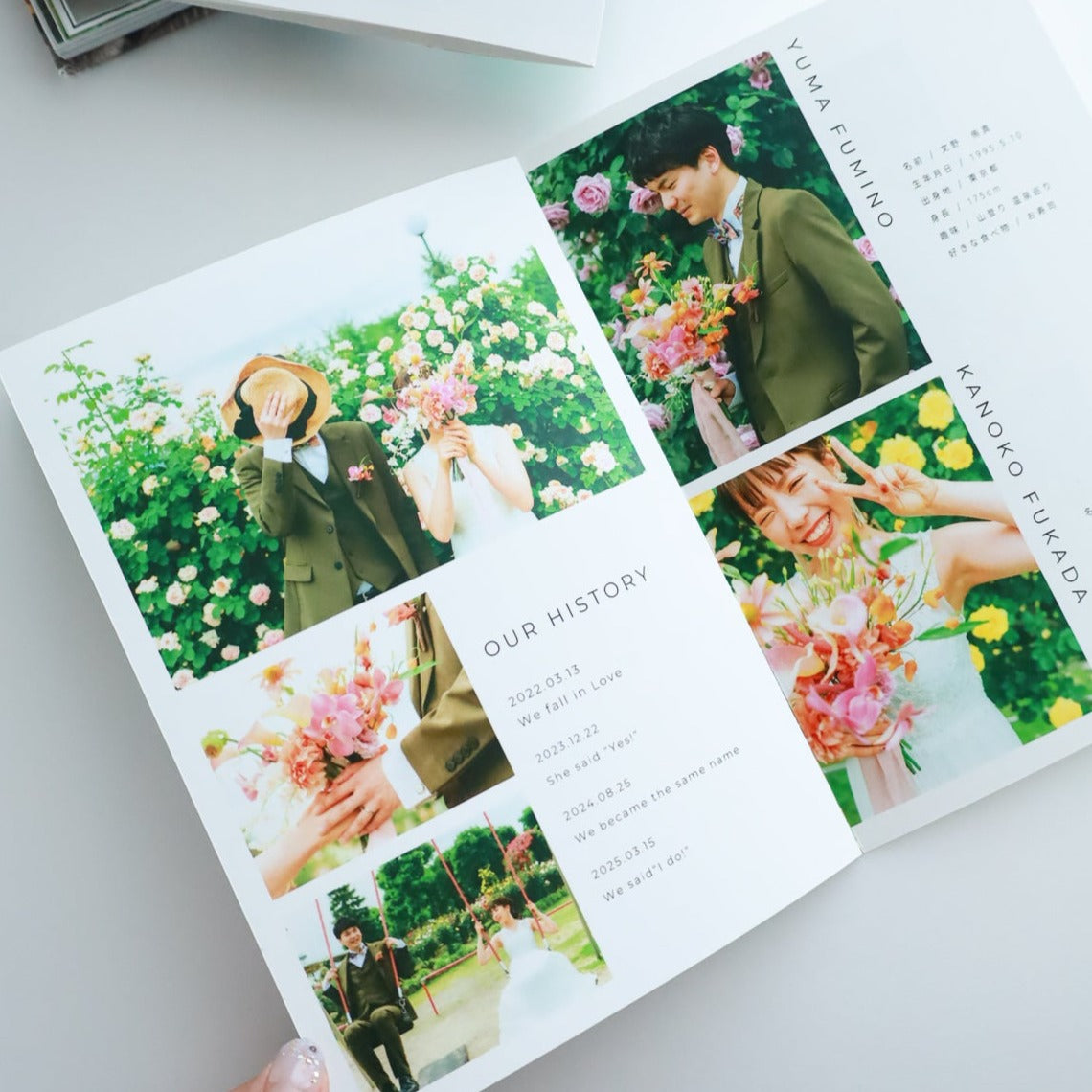 Profile book Template #Picnic